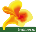 Gallaecia Eventos