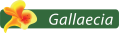 Gallaecia Eventos